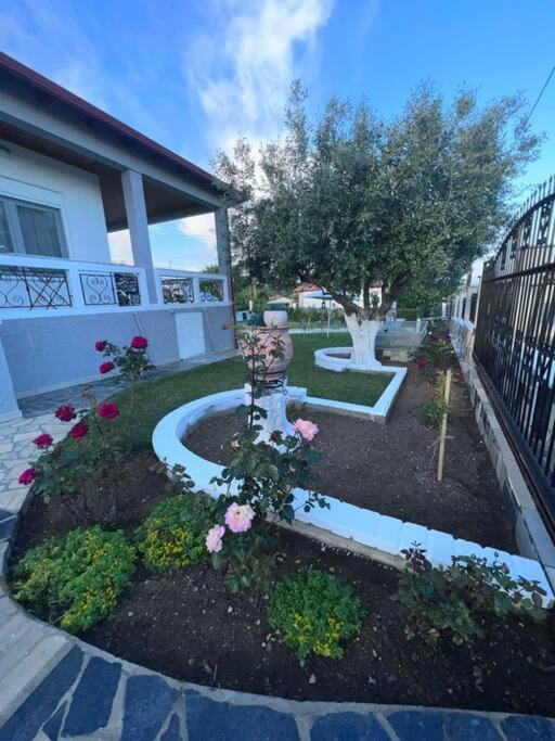 Villa Fabiola Vergia Dış mekan fotoğraf
